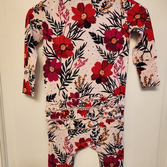 Posh Peanut Chloe Footless Long Sleeve Ruffled Romper 3-6 month BNWT - Picture 2 of 3